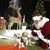 Debi Daisy Walsh's profile image