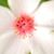 Frederique St Claire's profile image