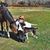 Lisa Nobrega's profile image