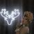Alexis Campbell Starr's profile image