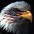 Thomas Pichler's profile image