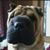 S Rita Hanson's profile image