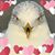 Joyce Stefancic's profile image