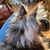 Angel Blaisdell's profile image