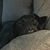 Debbie Paich's profile image
