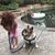 Rashelle Musci's profile image