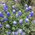 Sandra Newton's profile image