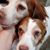 Linda Larson Werhane's profile image
