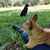Mary Bailey-Baxter's profile image