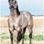 Jerry Lane's profile image