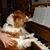Janet Hayes's profile image