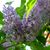 Marianne Biller's profile image