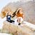 Leah Labourde's profile image