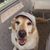 Russ Johnson's profile image