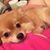 Julie Breeden Rhuby's profile image