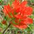Jackie Ware's profile image