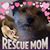 Laura Peters Stewart's profile image
