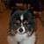 Jacqueline Hartman's profile image