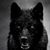 Ronnell D Fondren's profile image