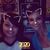 Lisa Tracy Cox's profile image