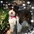 Maria Nolte's profile image