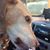 Angie Agles's profile image