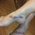 Michelle Dipple's profile image