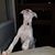 David Tilley's profile image