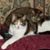 Beulah Bullis's profile image