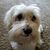 Mike Waite's profile image