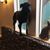 Susan Presogna Contino's profile image