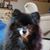 Barb Serling-Nice's profile image