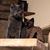 Kitty Matz's profile image
