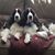 Sue Lienemann's profile image