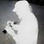 Doug Groenhoff's profile image