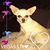 Savannah Raines's profile image