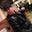 Scott Tomasso's profile image