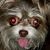 Veronica Hernandez's profile image