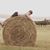 Kary Stovall's profile image