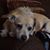 Linda Cohen's profile image