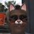 Terrie Penney's profile image