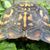 Richard Bas Basnett's profile image