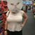 Amanda Sablowsky's profile image
