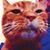 Tony Taneri's profile image