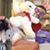 Ross Hamm's profile image