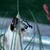 Sharon Johnston Demater's profile image