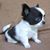 Martha Pineda's profile image
