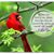 Kimberly A. Hoy's profile image