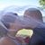 Christina Smith Ramey's profile image