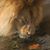 Debbie Hattal Quinn's profile image
